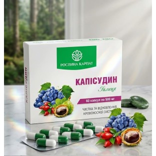 Чисті судини — міф чи реальність? Як підтримати еластичність артерій