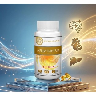 Холестерин, густа кров і харчування: що насправді впливає на судини