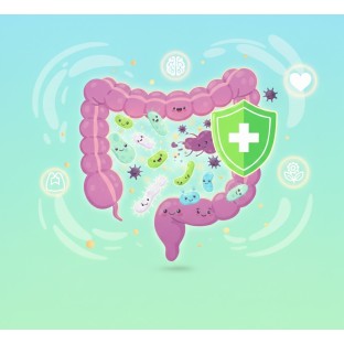 Кишківник — центр імунітету: навіщо пробіотики щодня