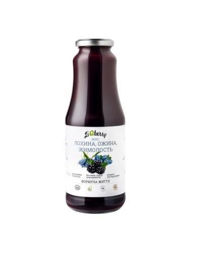 Паста LiQberry МІКС лохина, ожина, жимолость 1000 мл