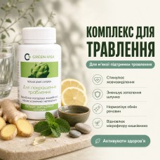 Комплекс для улучшения пищеварения Грин-Виза 120 капс.
