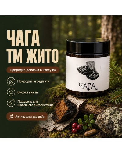 Чага ТМ Жито 60 капсул