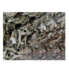 Ісландський мох Союз Афган 25 г