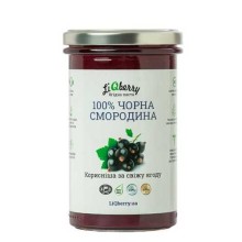 Паста LiQberry Черная смородина 545 мл